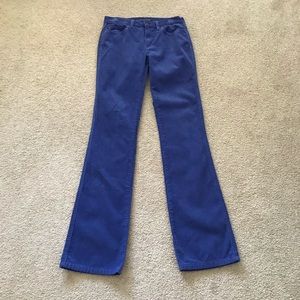 Women’s jeans / pants